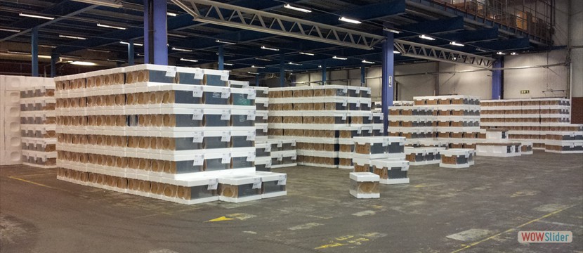 Farvima Magazzini farmaceutici_30